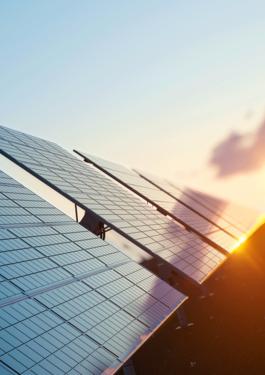 Transaction & Permiting